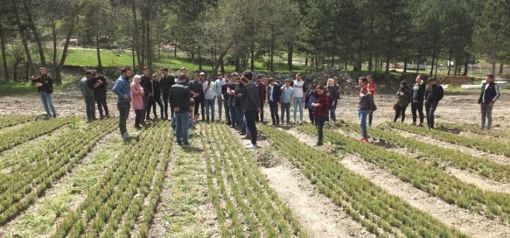 Ormancılık ve Orman Ürünleri Programı Öğrencilerinin Arazi Tatbikatı 